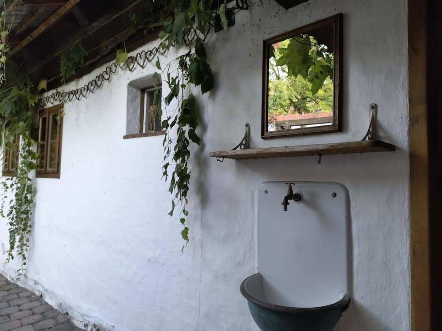 Chaloupka U Mostu Sv Jana V Centru Vodnan Vodňany Exterior foto